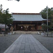 桜のない時期に