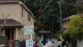 見どころたくさん