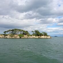 松島には様々な島々があります。