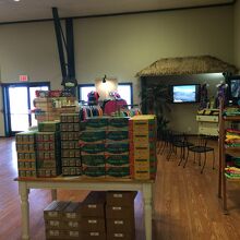 サンプルも少しあります。