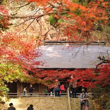 紅葉真っ盛りの鎧坂