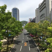 フラワーロード