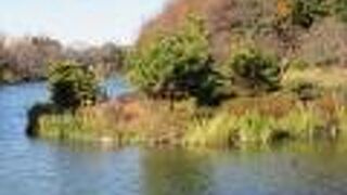 細長い大きな公園