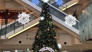 あちこちコロナ体制でテラスも閉鎖です。