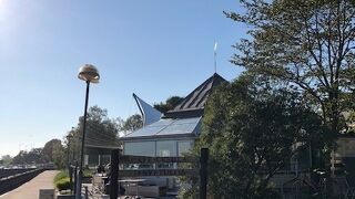 かもめ食堂にも出ていましたね