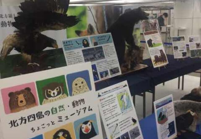 新宿西口広場イベントコーナー クチコミ アクセス 営業時間 新宿 フォートラベル