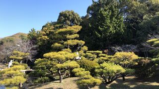 庭園が綺麗でした
