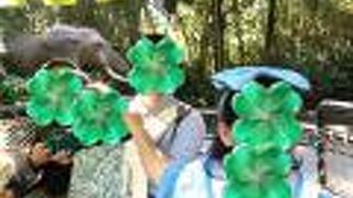 ジャングルへ冒険