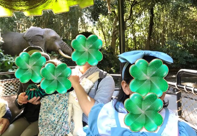ジャングルクルーズ クチコミ アクセス 営業時間 東京ディズニーリゾート フォートラベル
