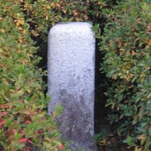 目立たないですが、その意義は非常に大きいと思います！