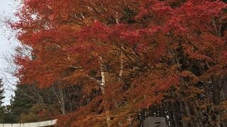 秩父三峯神社　紅葉