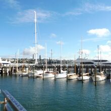 沢山のヨットが停泊中