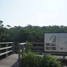 遊歩道の入口