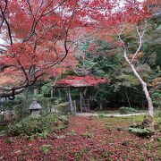 紅葉の時期だけ公開