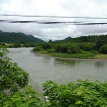 天塩川対岸を凝視！キタ～ァァ～、見つけた！