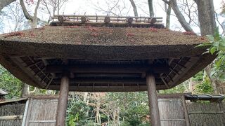 竹林に囲まれた小さな寺