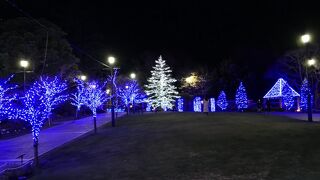 わざわざ行くほどではないでしょう