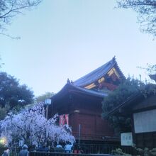 寛永寺清水観音堂