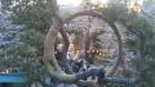 清水の舞台から月の松にて眺める