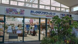 あしかがフラワーパーク 