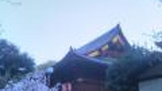 春には綺麗な桜が