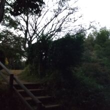 緑に囲まれています