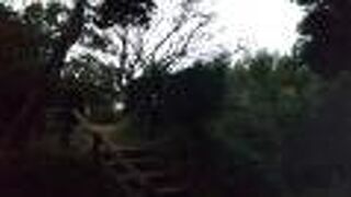 アップダウンがかなり激しい