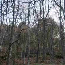 写真は駐車場からです