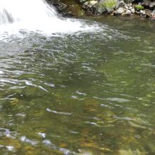 大蛇が棲んでいると言い伝えられる滝壺