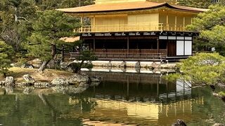 屋根の葺き替えが完成したばかりで、キラキラ