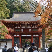 紅葉がよく色づいていた