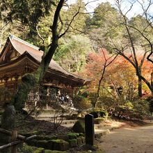 周辺は紅葉でいっぱいだ