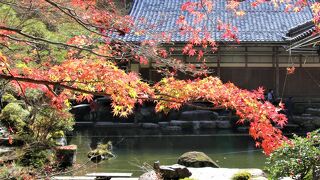 天下遠望の庭・本坊喜見院庭園から仁王門の石段を登って本堂までが紅葉シーズンには素晴らしい
