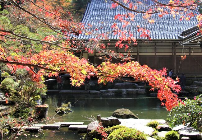 百済寺 クチコミ アクセス 営業時間 湖東三山 多賀 東近江 フォートラベル 百済寺 クチコミ アクセス 営業時間 湖東三山 多賀 東近江 フォートラベル