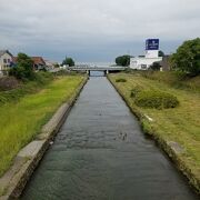 カルガモと日豊本線