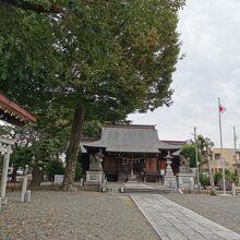 厚木神社 