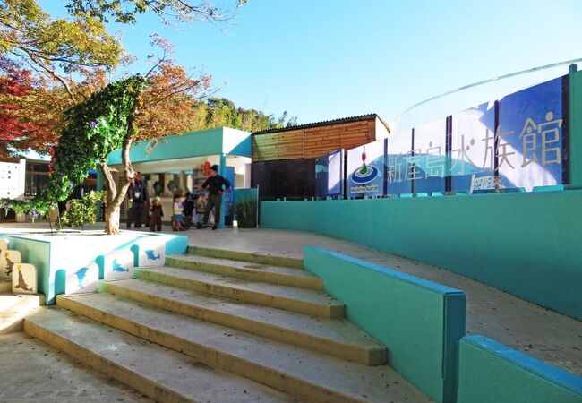 新屋島水族館 クチコミ アクセス 営業時間 高松 フォートラベル 新屋島水族館 クチコミ アクセス 営業時間 高松 フォートラベル