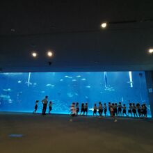 いおワールドかごしま水族館 