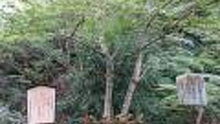 女坂の七不思議その四は二代目