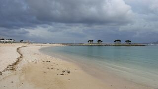 やっぱり沖縄。朝のお散歩にお勧め☆