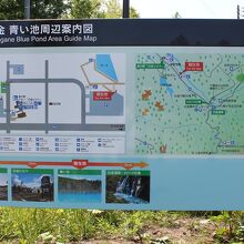 青い池の案内図