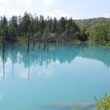 青い池