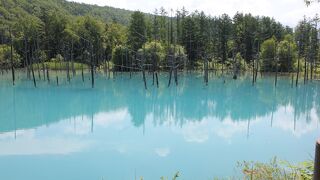 一見の価値あり