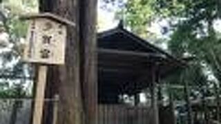 個人的なお願いをしてもいいそうです