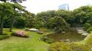 素晴らしく手入れされた日本庭園に本当に感動してしまいます。