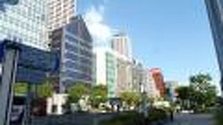 整備された木々や花壇が魅力的