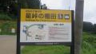 車で行きました