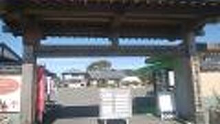 きんかんソフト