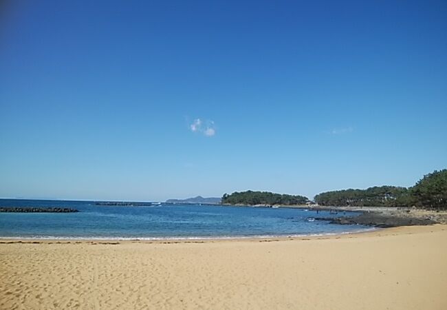 波戸岬 クチコミ アクセス 営業時間 呼子 玄海 フォートラベル