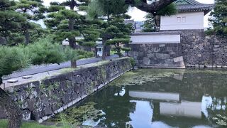 松とのマッチングがよい。